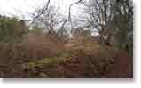 Overgrown, mossy and much eroded, but the walls of the fort are still visible.