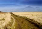 Carn Fadrun during the seasons. Summer.