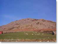 ... to the top of Carn Fadrun again ... taken from the layby.