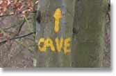 ..notice the tree marked with yellow paint that says "Cave" and has an arrow..