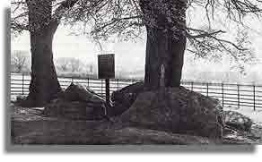 Little Kit's Coty House with the trees still there