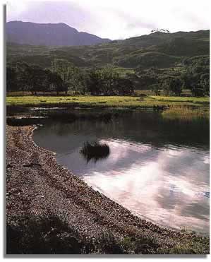 The lake of Llyn Dinas