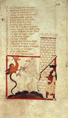 British Library MS Egerton 3028 f.25
